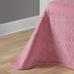 image-ca95a50ac66a436891ae9d2b112b66d9