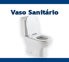 Q: Vaso Sanit